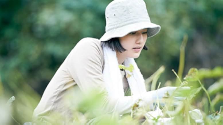 Little Forest: Winter/Spring 2015