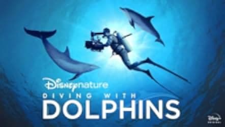 Diving with Dolphins 2020