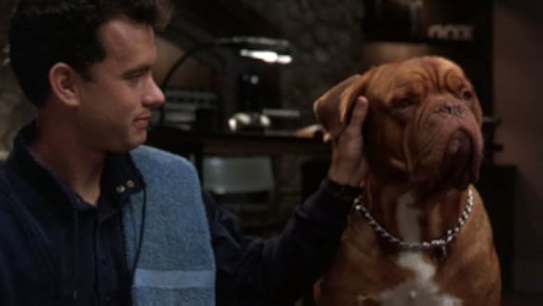 Turner & Hooch 1989