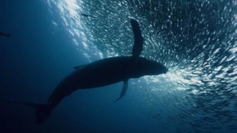 Planet Earth: A Celebration 2020