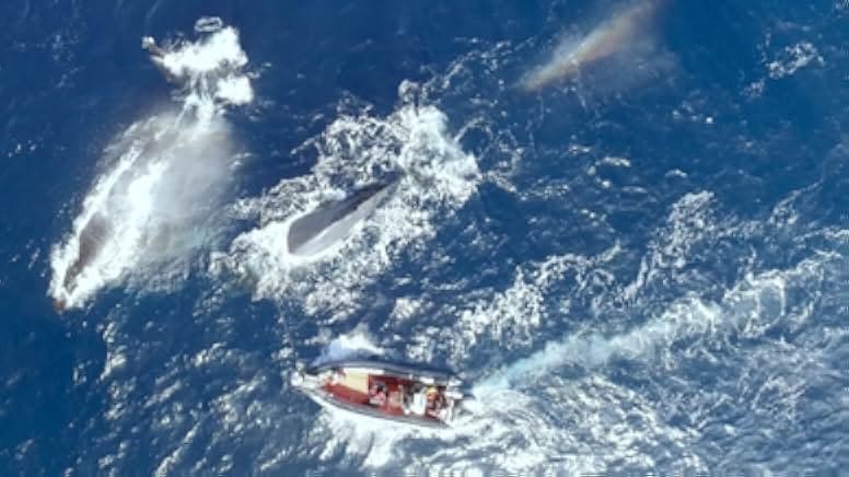 The Loneliest Whale: The Search for 52 2021