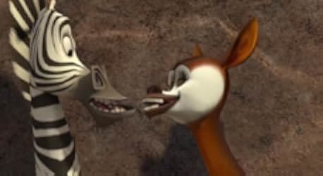 Madly Madagascar 2013