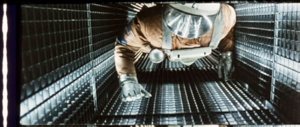 The Noah's Ark Principle 1984