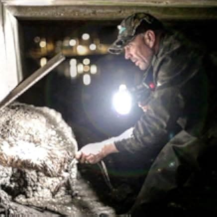 Rodents of Unusual Size 2017