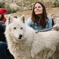 Medicine of the Wolf 2015