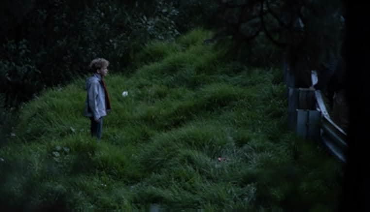 The Hole in the Fence 2022