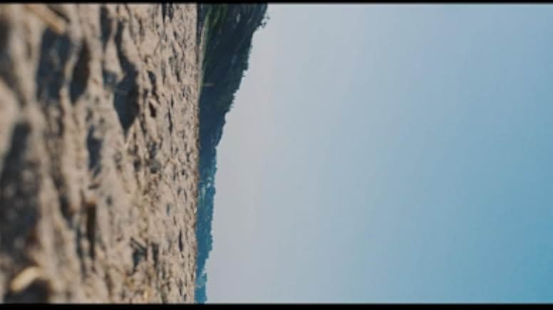 The Beach House 2019