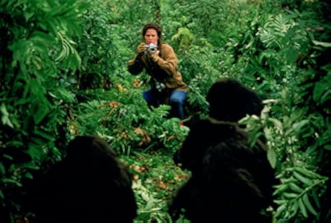 Gorillas in the Mist: The Adventure of Dian Fossey 1988