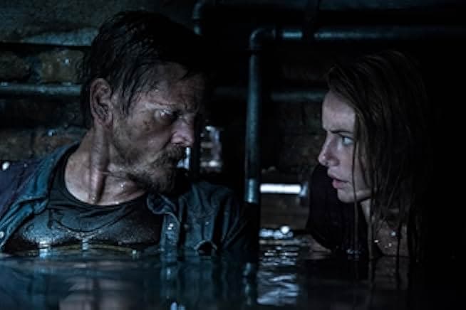 Crawl 2019
