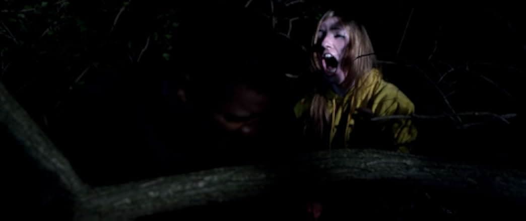 The Wind Walker 2020