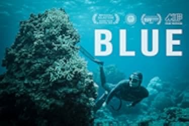 Blue 2017
