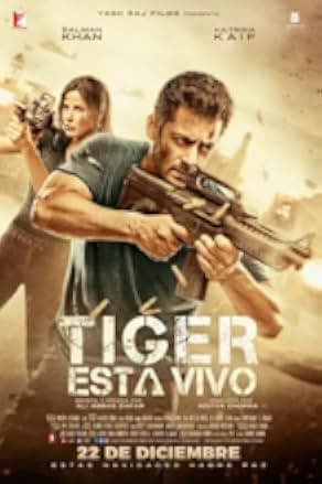 Tiger Zinda Hai 2017