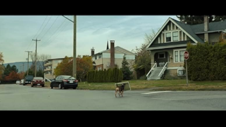 A Dog's Way Home 2019