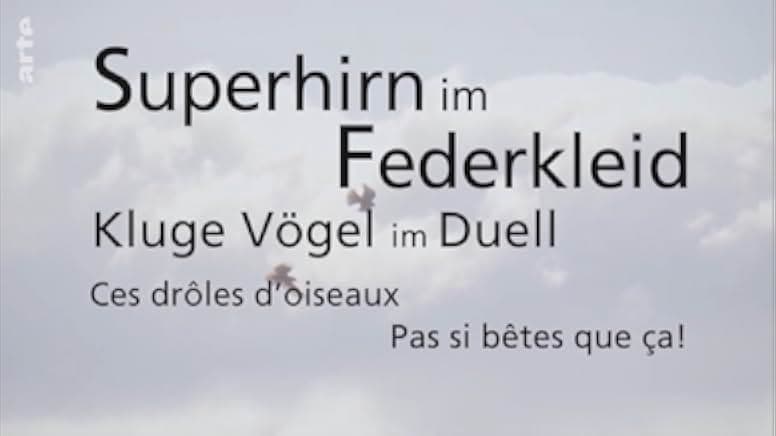 Beak & Brain - Genius Birds from Down Under 2013