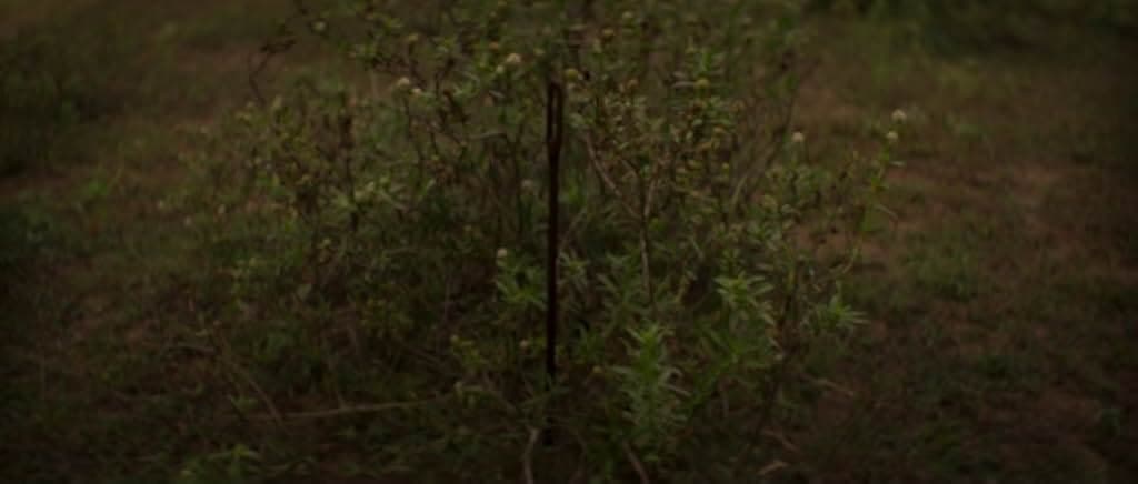 Night of the Kings 2020