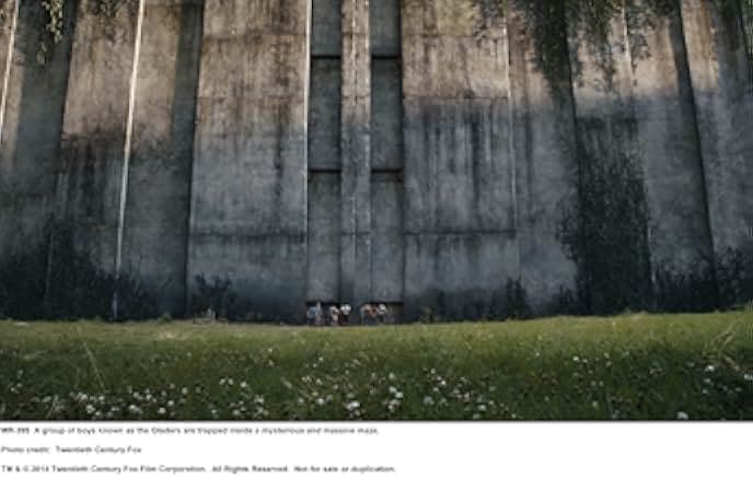 The Maze Runner 2014