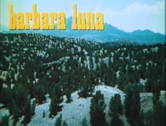 The Gatling Gun 1971