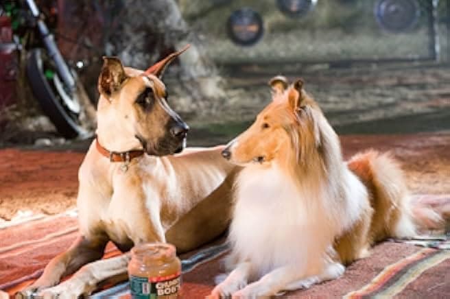 Marmaduke 2010