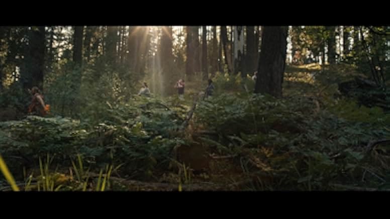 Stranger in the Woods 2024