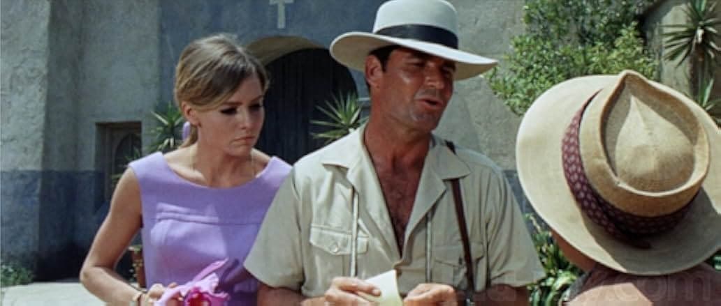 The Pink Jungle 1968