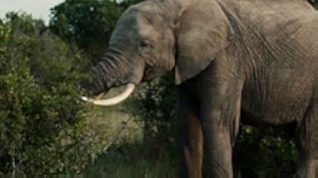 Anthropocene: The Human Epoch 2018