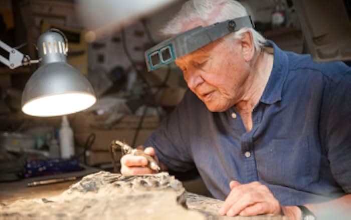 Attenborough and the Sea Dragon 2018