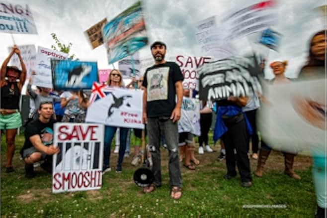 The Walrus and the Whistleblower 2020