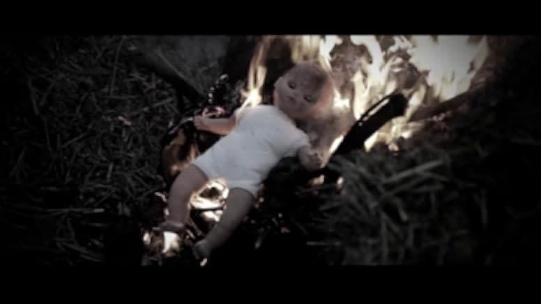Zombie Diaries 2 2011