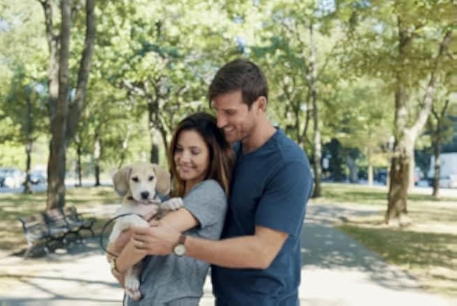 How to Train Your Husband or How to Pick Your Second Husband First 2018