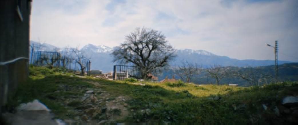 Mariner of the Mountains 2021