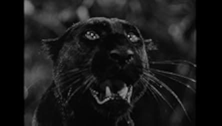 Panther Girl of the Kongo 1955