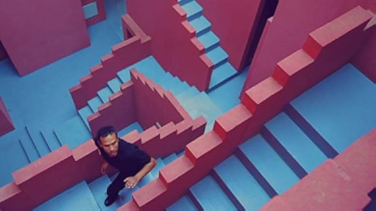 The Mystery of the Pink Flamingo 2020