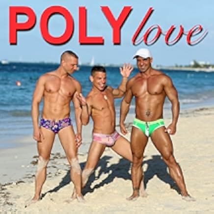 PolyLove 2017