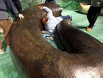 Titanoboa: Monster Snake 2012