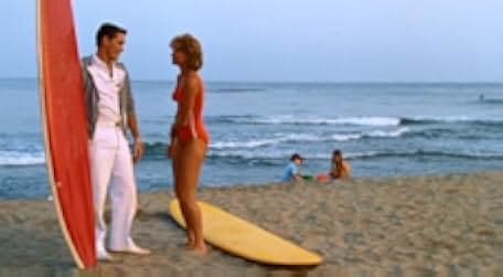 The Flamingo Kid 1984