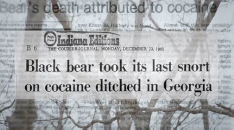 Cocaine Bear: The True Story 2023