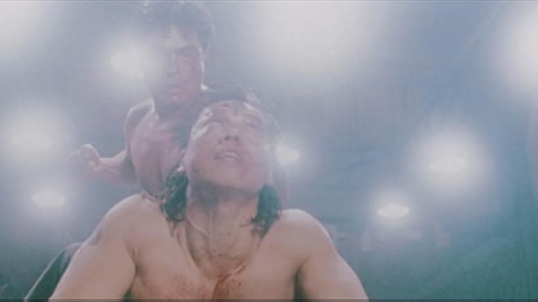 Bloodfight 1989