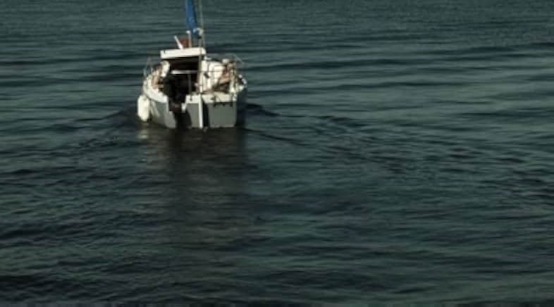 Raiders of the Lost Shark 2015