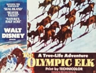 The Olympic Elk 1952