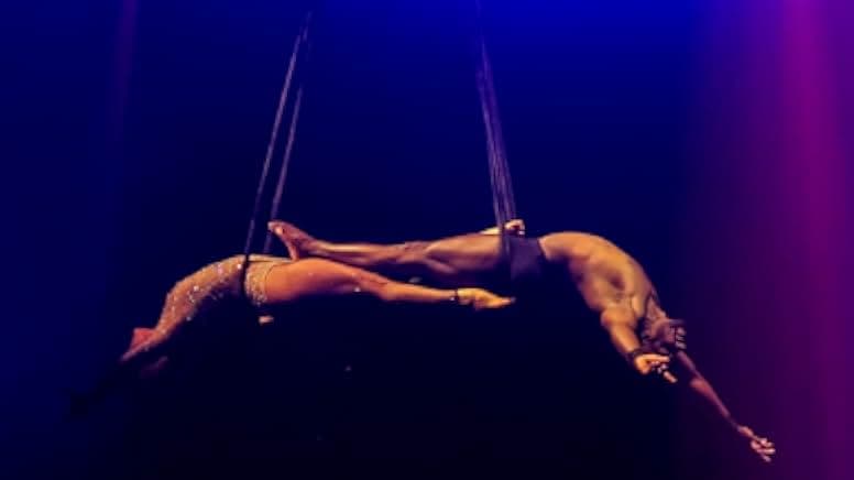 Pink: Staying True 2013