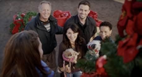 A Dogwalker's Christmas Tale 2015