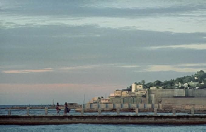 Guava Island 2019