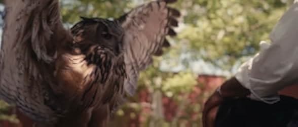 Rite of the Shaman 2022