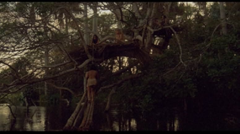 White Slave 1985