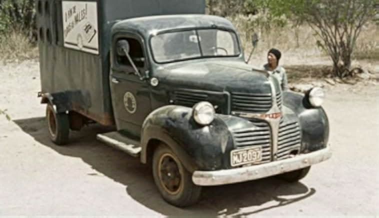 Cinema, Aspirins and Vultures 2006