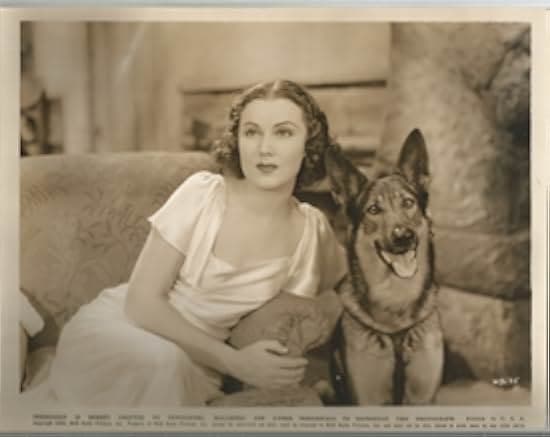 Woman in the Dark 1934