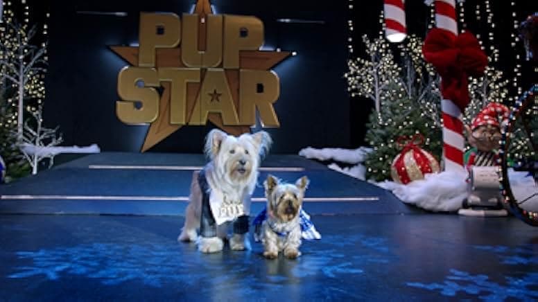 Puppy Star Christmas 2018