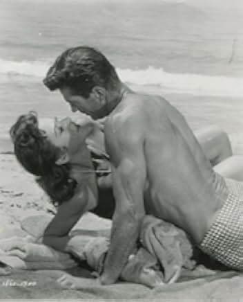 The Female Animal 1958