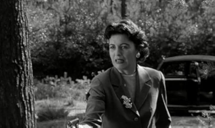 Spin a Dark Web 1956
