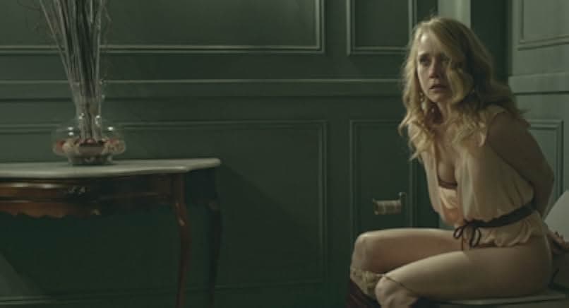 O Animal Cordial 2017